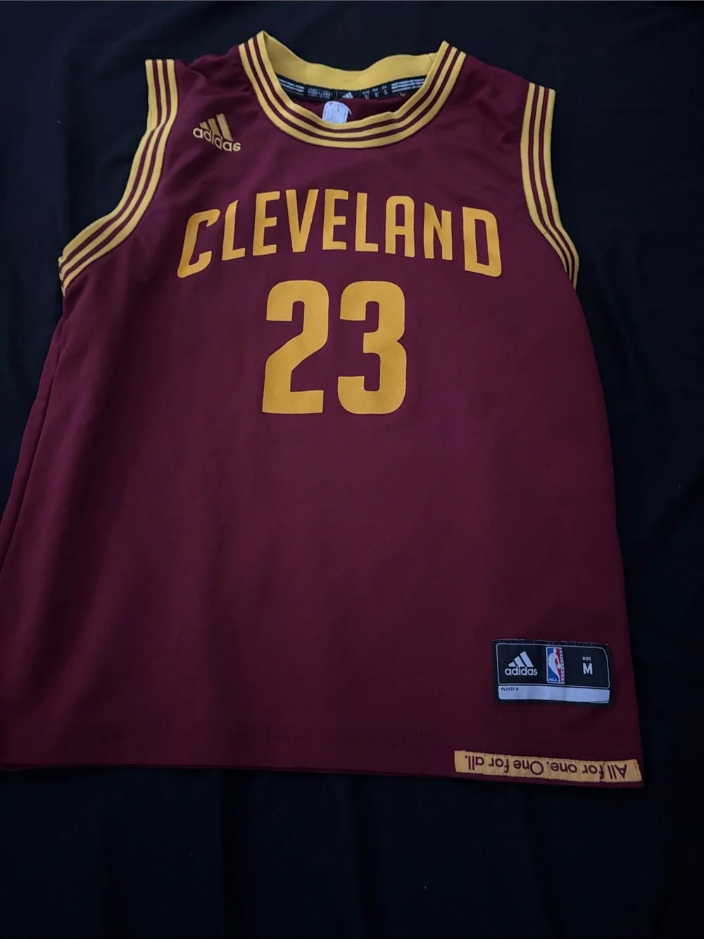 Cleveland basketball jersey (LeBron James #23).
